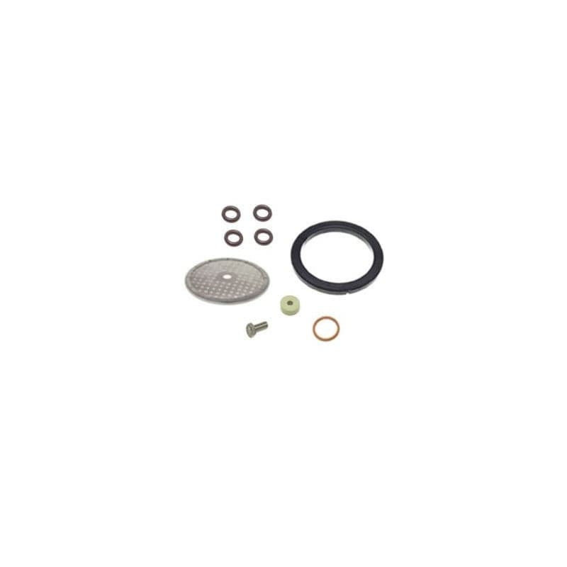 Rancilio Silvia Maintenance Kit For V1 Machines